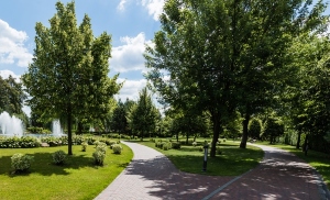 big white box, arbor day, Tree City USA, tree-lined streets, Kansas City